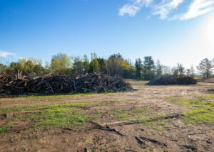 Forestry Mulching